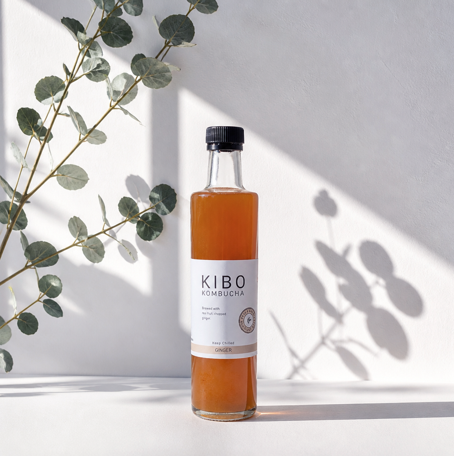 Kombucha - Ginger (500ml)